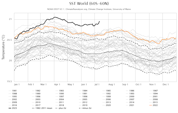 A chart of every year's global daily average sea surface temperature shows 2023 far above all other years since satellite records started in 1981.